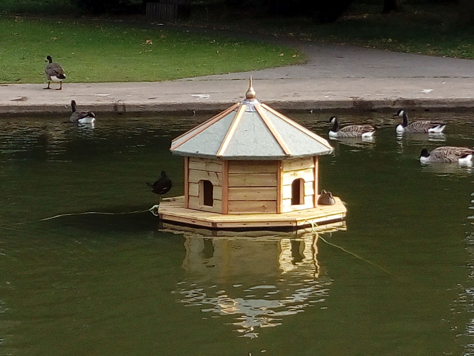 Rowntree Park Duck House