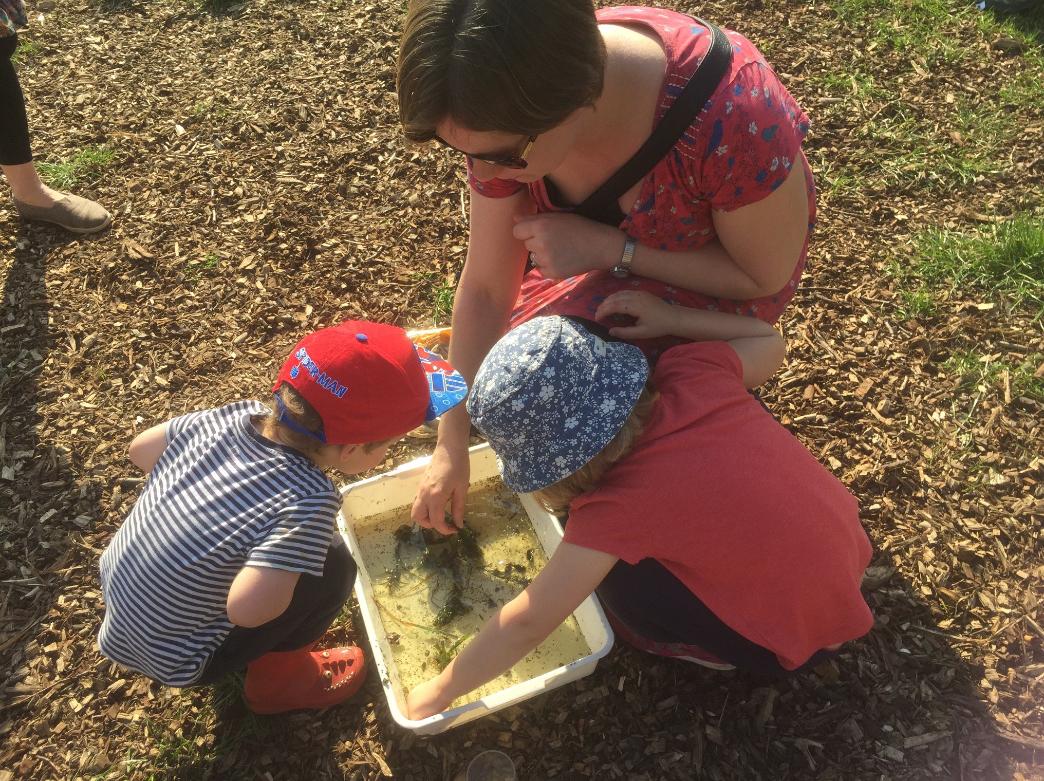 Very Young Friends Rowntree Park pond dipping