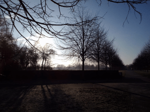 winter 2013-14