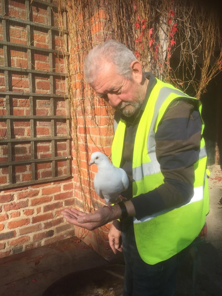 Rowntree Park volunteer and dove