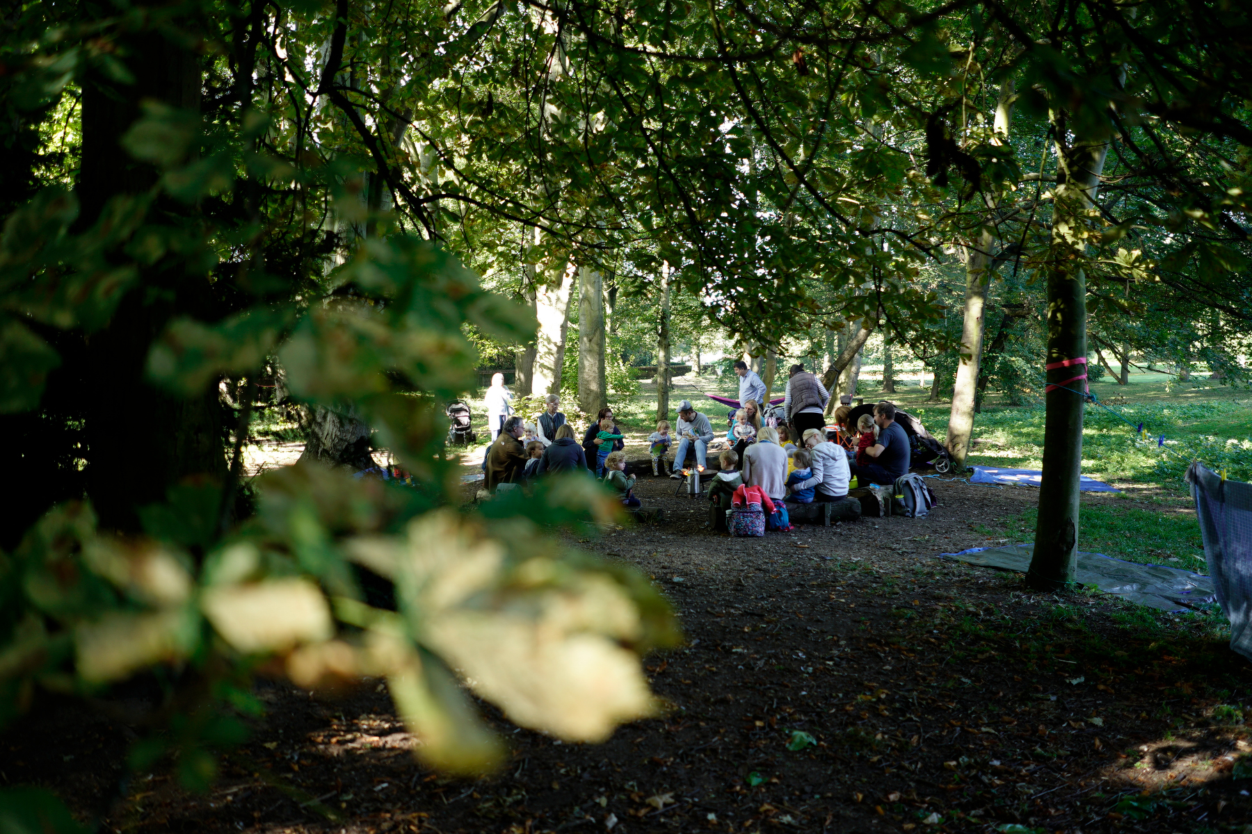 Fores School Rowntree park 003