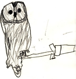 felix's owl