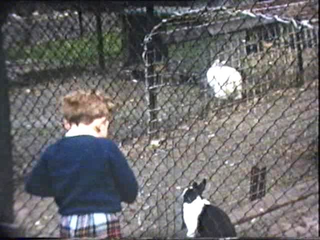Rowntree Park animals History