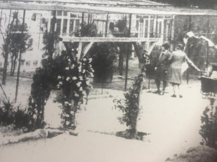 aviaries Rowntree Park History