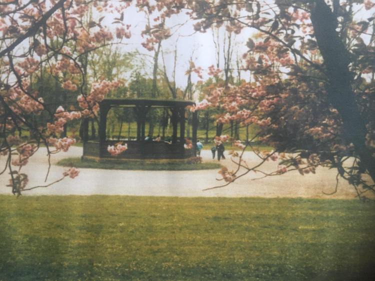 Rowntree Park band stand