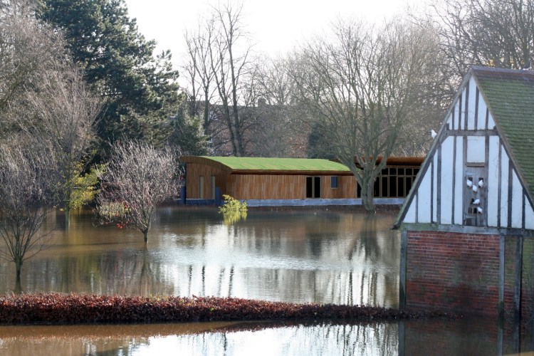 Rowntree Park Ark