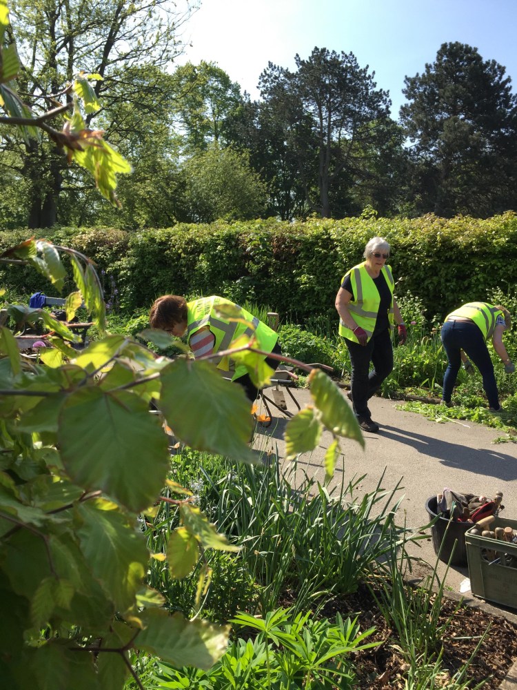 Rowntree Park Volunteers Friends of Rowntree Park